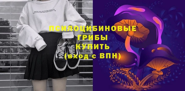 метамфетамин Богданович