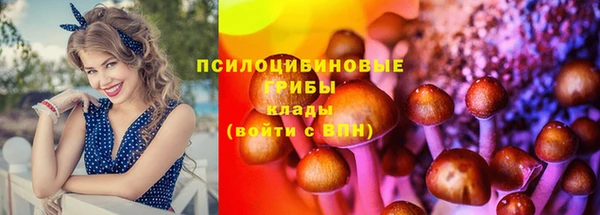 метамфетамин Богданович