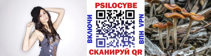 где можно купить наркотик  Ильский  мориарти клад  Псилоцибиновые грибы мицелий 
